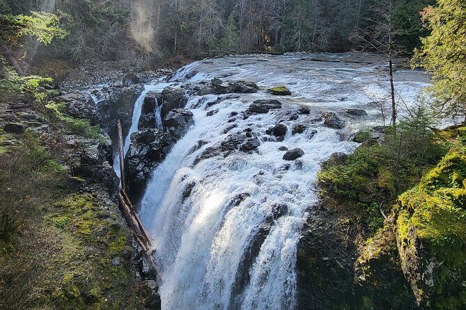 Wildlife, Waterfalls, Caves, Old Growth on Vancouver Island - Horne Lake Caves: 1h30 of unlit, natural passageways
