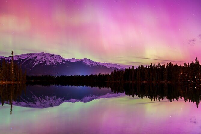 Wildlife Wild Skies: Jasper Planetarium Combo - Wildlife Wild Skies in Jasper: what you’re really signing up for