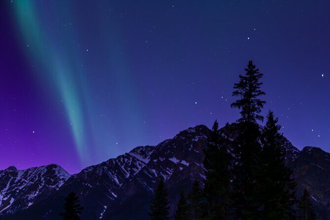 Wildlife Wild Skies: Jasper Planetarium Combo - The wildlife stop: how the guide helps you spot animals in the park