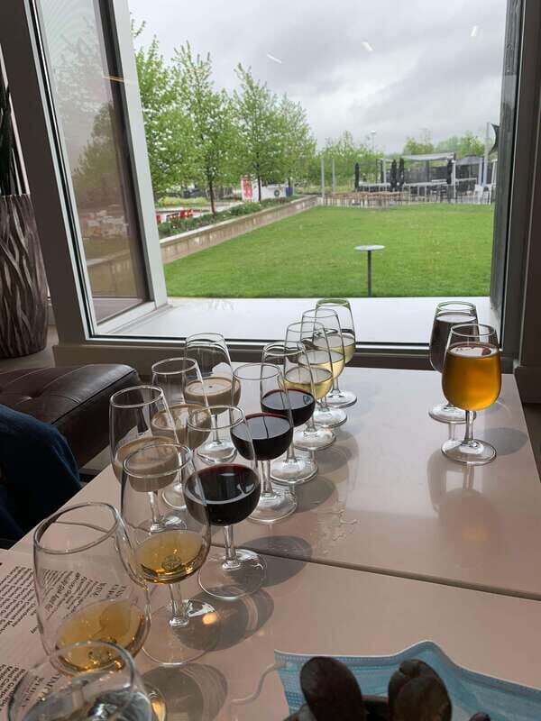 Wine & Cheese Afternoon Wine Tours in NOTL - Who should book this tour—and who should skip it