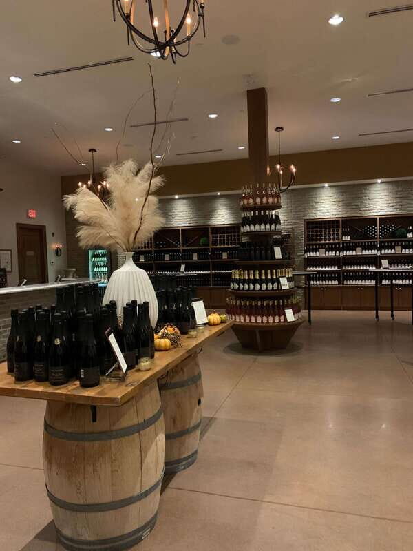 Wine & Cheese Afternoon Wine Tours in NOTL - The winery walkthroughs: what you’ll learn without feeling like homework