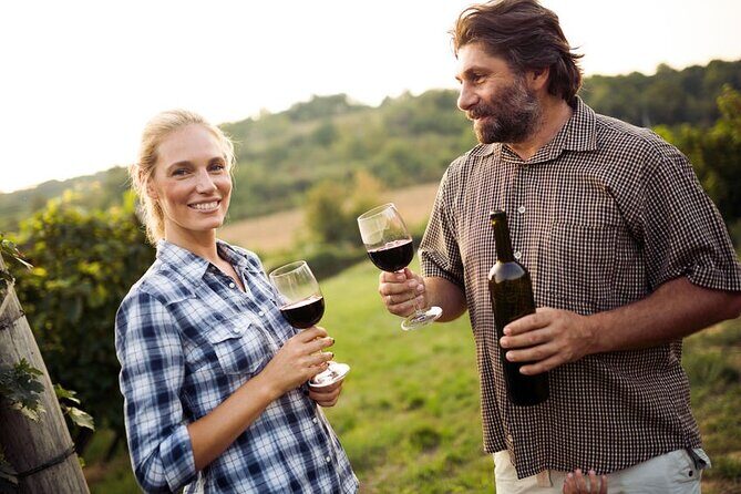 Wine, Cheese, Chocolate 6 Hour Tasting Tour with Lunch - Between the Lines Winery: your board-style lunch plus 4 wine tastings