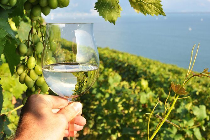 Wine Tasting and lavender Farm Tours - Key things to know before you go