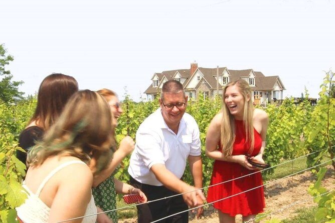 Wine Tasting and Pairing Afternoon Tour - Key highlights to know before you go