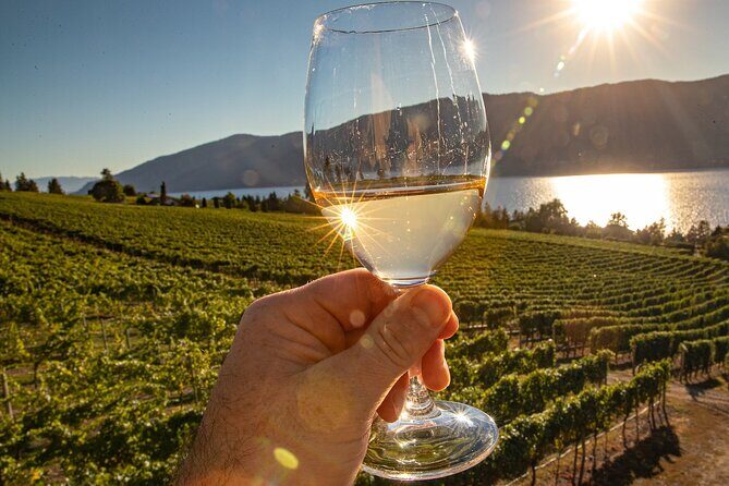 Wine Tour Experience In Lake Country 5 Wineries - Stop 2: 50th Parallel Estate Winery for Pinot focus and modern architecture