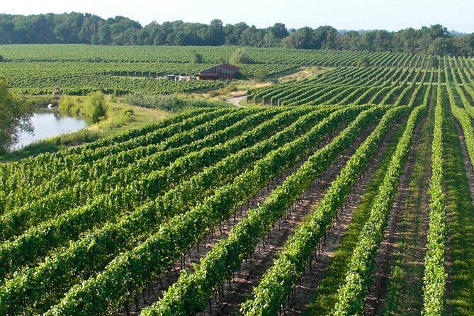 Wine Tour in Niagara-on-the-Lake - Price and value: $138.86 for tastings, guidance, and pickup