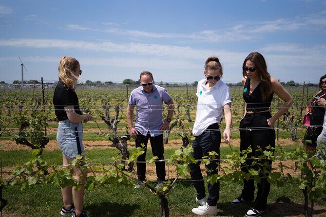 Wine Tour with Lunch in Niagara-on-the-Lake - Price and What You’re Really Paying For (CAD $194.07)