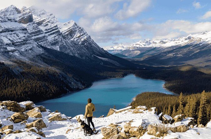 Winter 4 Days- Banff, Yoho, Icefields & Gondola - Day 2: Icefields Parkway viewpoints—Peyto Lake’s viewpoint payoff and Bow Lake’s glacier feel