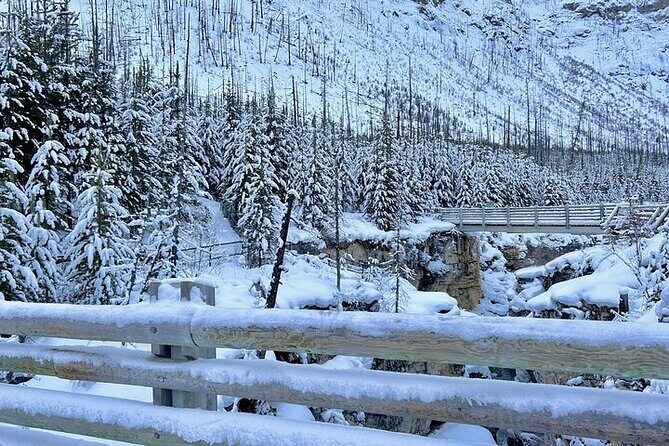 Winter 5 Days- Banff, Yoho, Icefields, Canyon & Gondola - Day 2 Banff + Yoho: Marble Canyon to Lake Louise