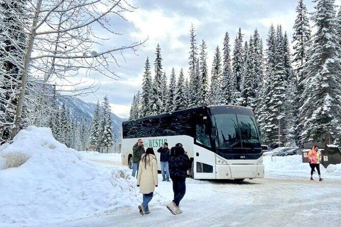 Winter Trip: Lake Louise, Marble Canyon, Emerald Lake, Banff - Emerald Lake plus Natural Bridge: short stops built for winter timing
