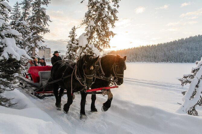 Winter Trip: Lake Louise, Marble Canyon, Emerald Lake, Banff - Lake Louise in winter: using your full hour for the right kind of quiet