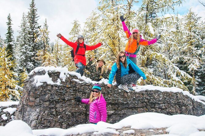 Winter Wildlife Discovery Tour - Winter Wildlife Species: What You Can Realistically Aim For