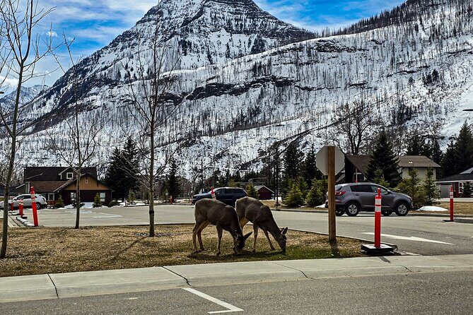 Xclusive Wonders of Waterton Your Private Journey of Nature’sBest - Red Rock Canyon: color, creek time, and quick trail walking