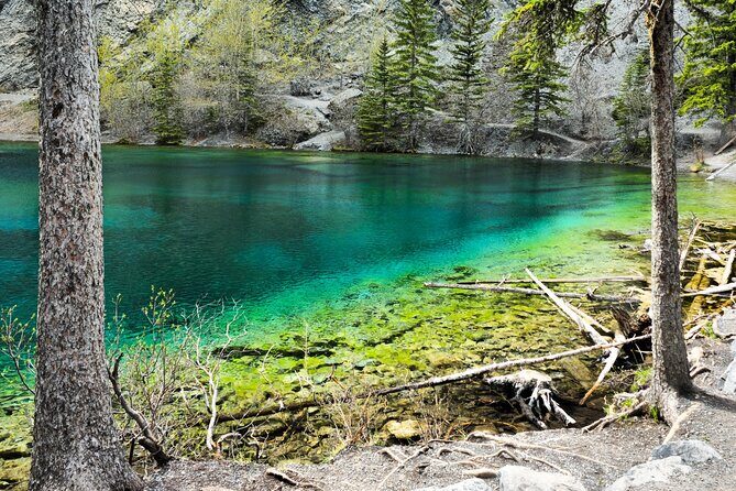 Xclusive Wonders of Waterton Your Private Journey of Nature’sBest - Waterton lunch hour: food, breaks, and a little breathing room