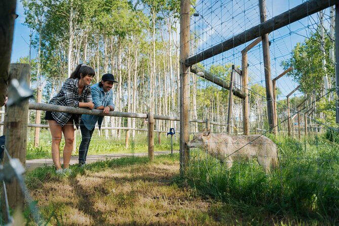 Yamnuska Wolfdog Sanctuary Walk Ticket in Canada - Price and value of the $29.27 ticket