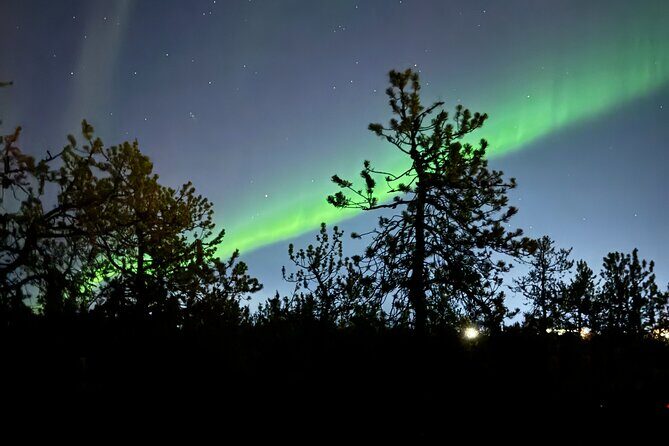 Yellowknife Aurora Hunting Tour - Quick hits before you go