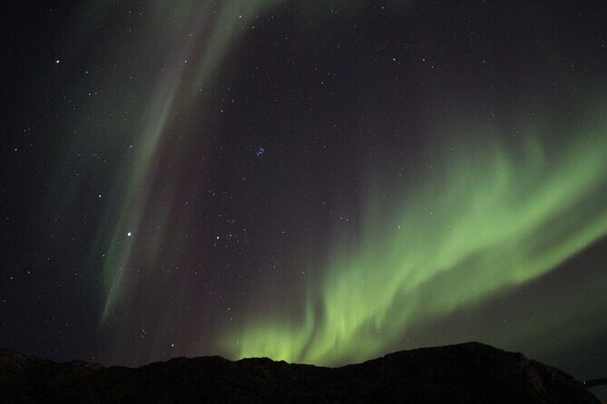Yellowknife Aurora Hunting Tours by Bus - Quick hits