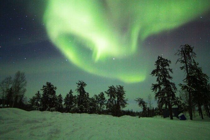 Yellowknife Aurora Hunting Tours by Bus - Stop 4: Prelude Lake Territorial Park and reflections