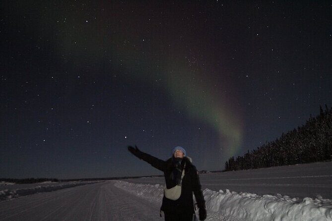 Yellowknife Aurora Hunting Tours by Bus - Guides who actually hunt: Luke and Tina’s styles