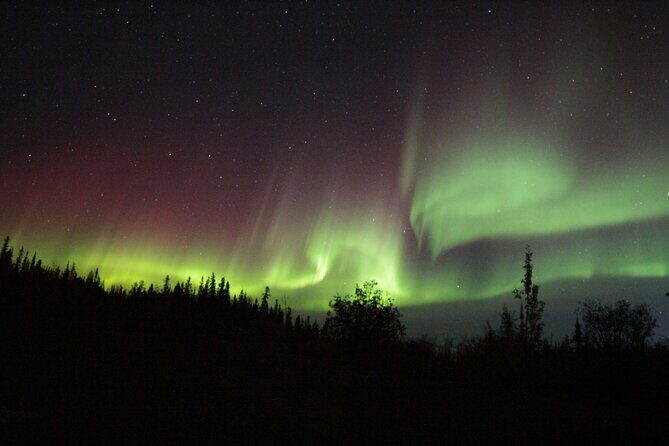 Yellowknife Aurora Hunting Tours by Bus - Price and what you’re really paying for (at $81.81)