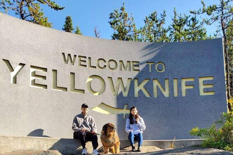 Yellowknife: City Tour - Nature’s North Wildlife Gallery: wildlife, shopping, and cross-bear trivia