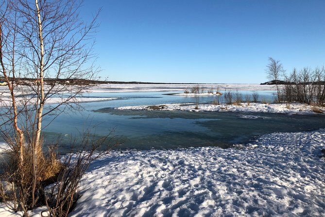 Yellowknife City Tour + Nature's North Wildlife Gallery - Prince of Wales Northern Heritage Centre + Visitor Centre: easy wins for your first day