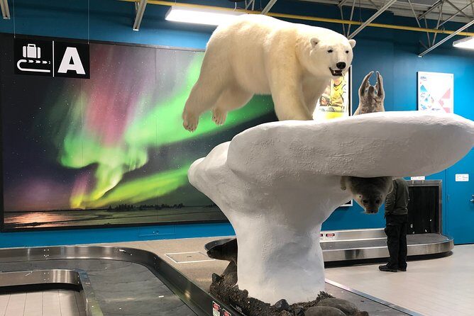 Yellowknife City Tour + Nature's North Wildlife Gallery - Bush Pilots Monument and The Rock: views you can use later