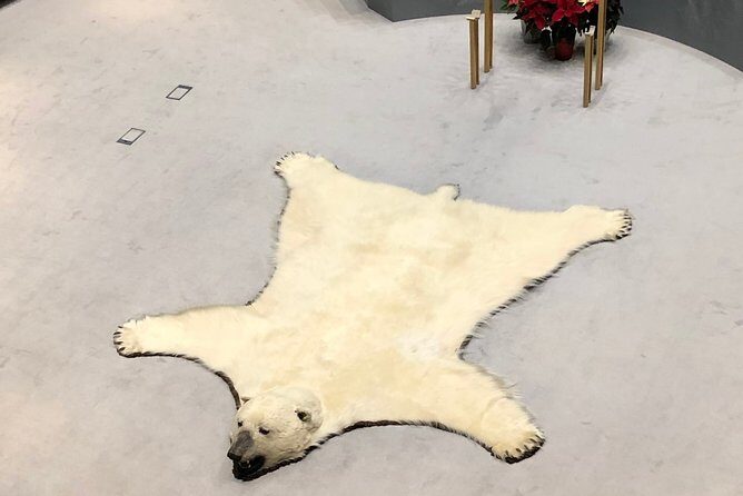 Yellowknife City Tour + Nature's North Wildlife Gallery - Price, timing, and what you’re really paying for