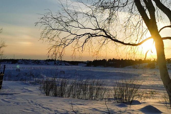 Yellowknife City Tour + Nature's North Wildlife Gallery - Small logistics that can make or break your comfort