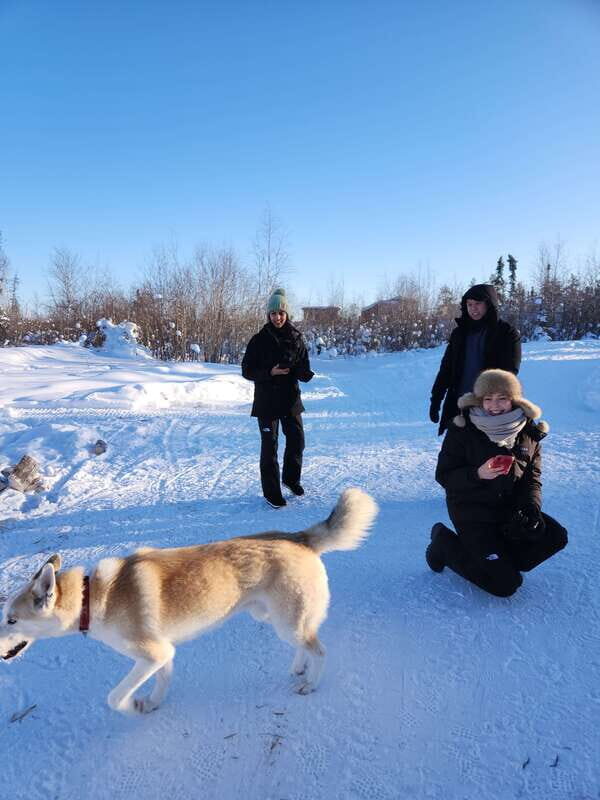 Yellowknife: Dog Sledding Tour - Key highlights you’ll care about