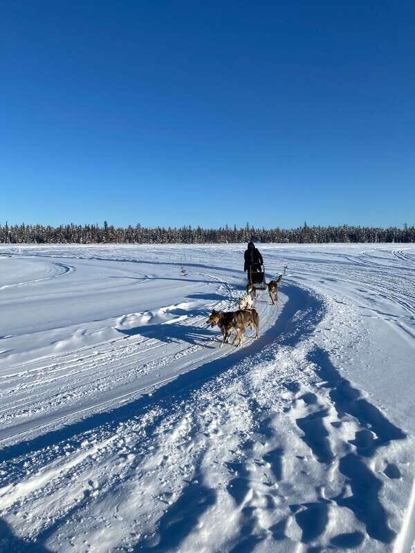 Yellowknife: Dog Sledding Tour - Getting From Yellowknife to the Sled Camp Without the Hassle