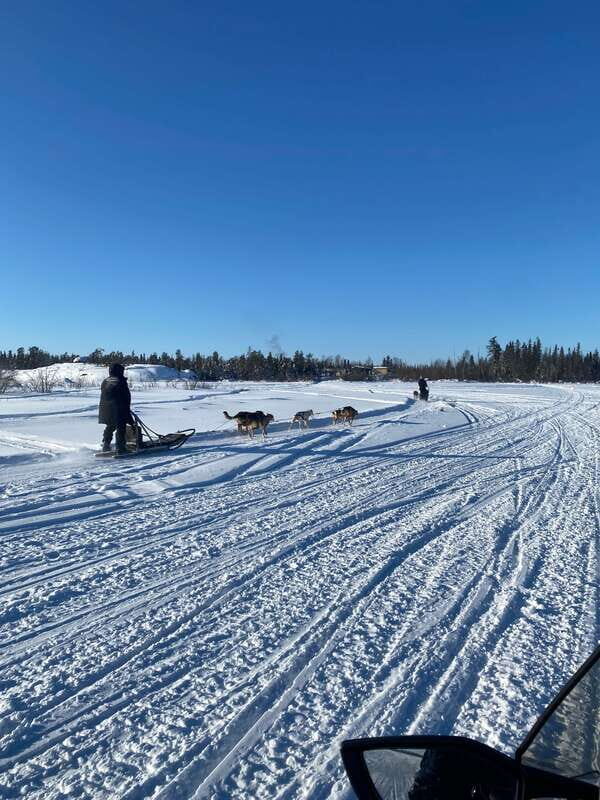 Yellowknife: Dog Sledding Tour - On the Sled: That Cool-Air Rush Through Snow Trails