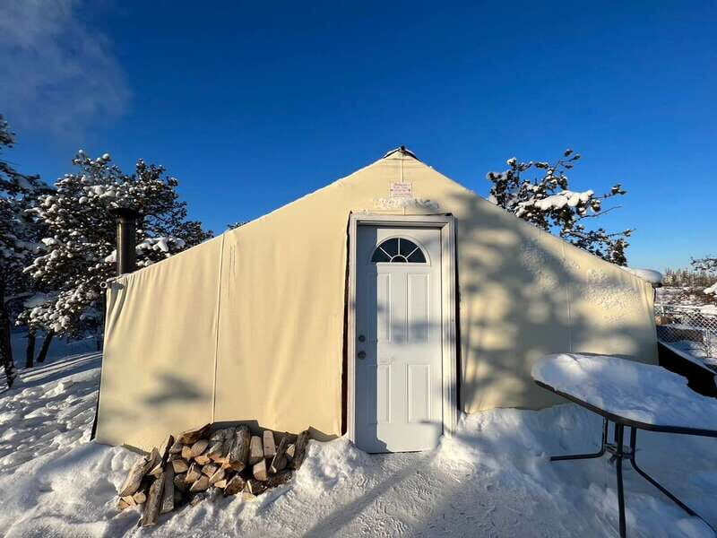 Yellowknife: Dog Sledding Tour - Stories in the Cold: Indigenous History of Dog Sledding