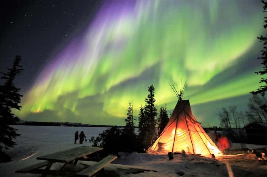 Yellowknife Full Day Tour for Aurora Borealis Northern Light - Optional Winter Adventures: Dog Sledding and Snowmobiling (If You Add Them)
