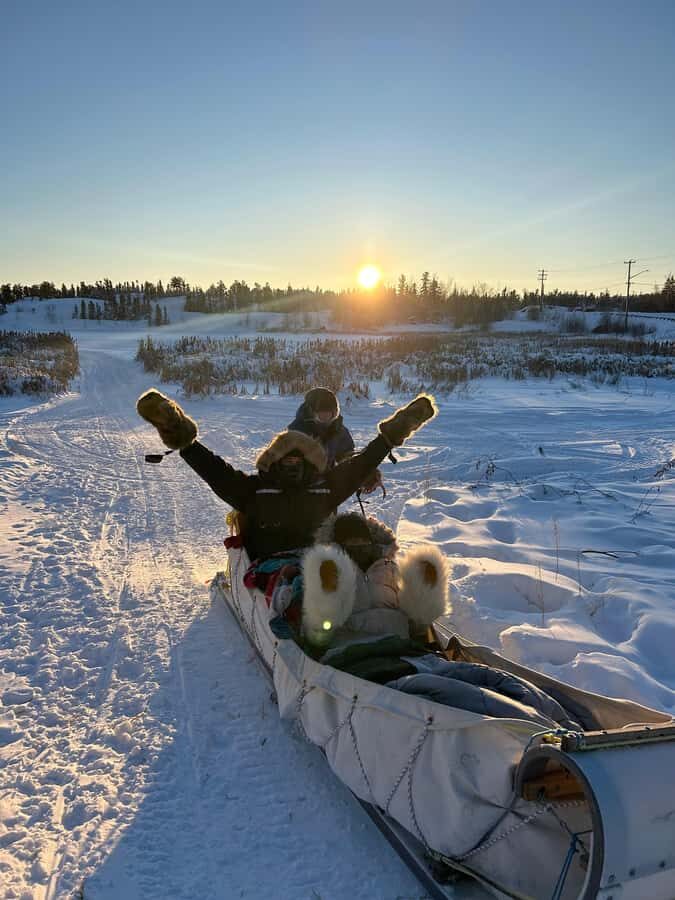 Yellowknife: Indigenous Dog Sledding Experience - Key highlights you’ll care about