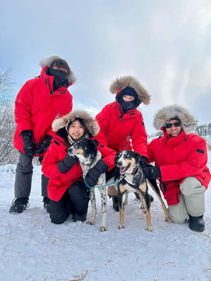 Yellowknife: Indigenous Dog Sledding Experience - Should you book this Yellowknife Indigenous dog sledding experience?