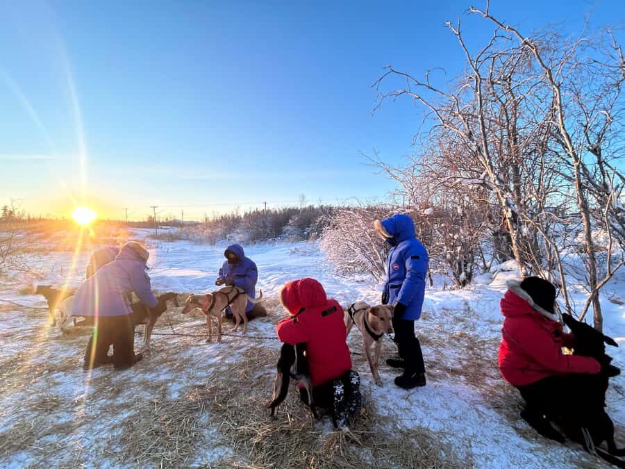 Yellowknife: Indigenous Dog Sledding Experience - The toboggan ride: a 6-kilometer run across the frozen lake