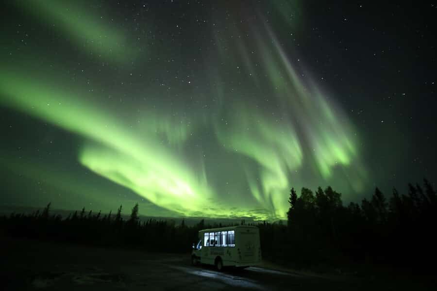 Yellowknife: Northern Lights Chasing Tour by Bus - Warm-up stops, hot drinks, and what comfort really buys you