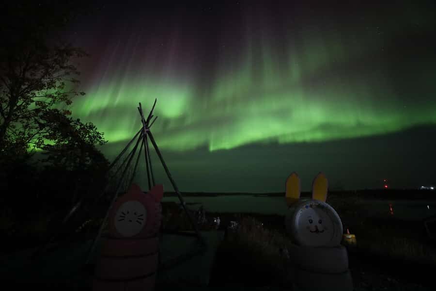 Yellowknife: Northern Lights Chasing Tour by Bus - Photography help: tripod options and easy wins for sharper shots