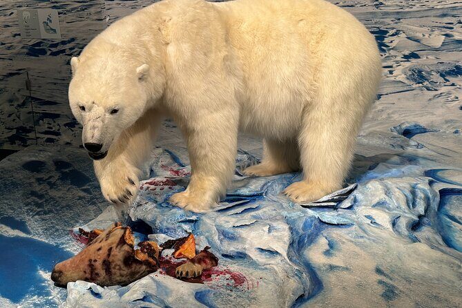Yellowknife Sightseeing City Tour - The guide makes or breaks it, and this one’s a big deal