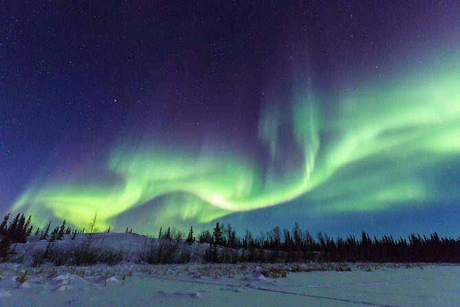 Yellowknife Tours - Aurora by bus - Price and value for a roughly 4-hour aurora chase