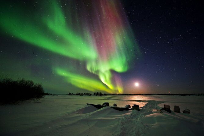 Yellowknife Tours - Aurora by bus - Who this tour is best for