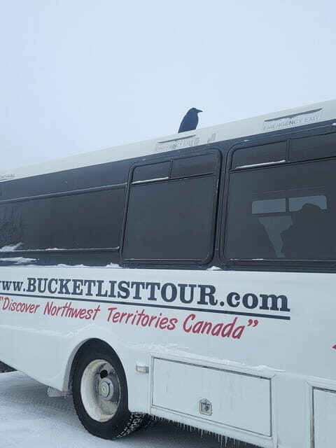 Yellowknife: Wild Bison Highway Tour - The guide and driver factor: Tracy and Jeremy make the trip