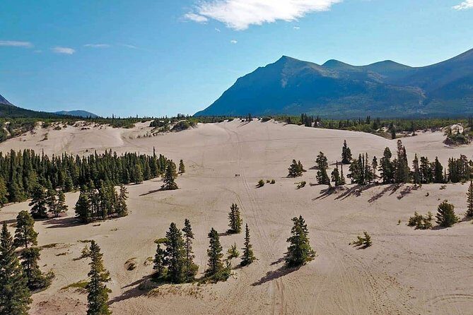 Yukon Gold Experience feat. Emerald Lake & Carcross - Price and value: what $211.35 buys you (and what it doesn’t)