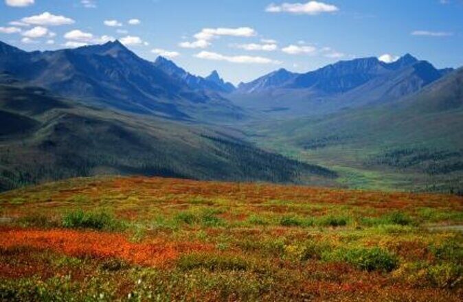 Yukon Snowshoeing Adventure | half day - Key highlights worth knowing