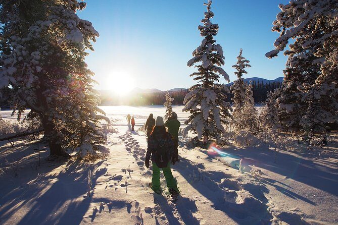 Yukon Snowshoeing Adventure | half day - Entering the day: Sternwheeler pickup, 1:30 pm start, and what “half day” means