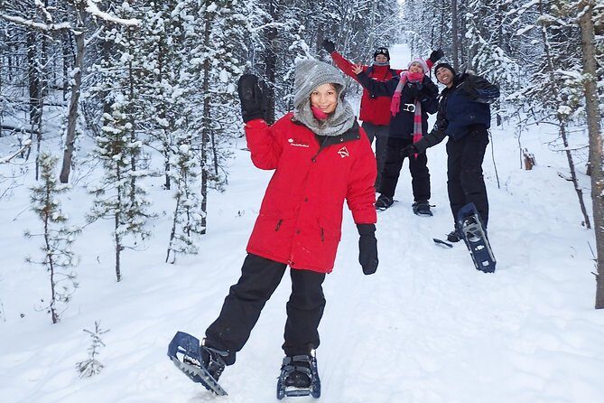 Yukon Snowshoeing Adventure | half day - Wildlife spotting in the Yukon: how to make the most of sightings