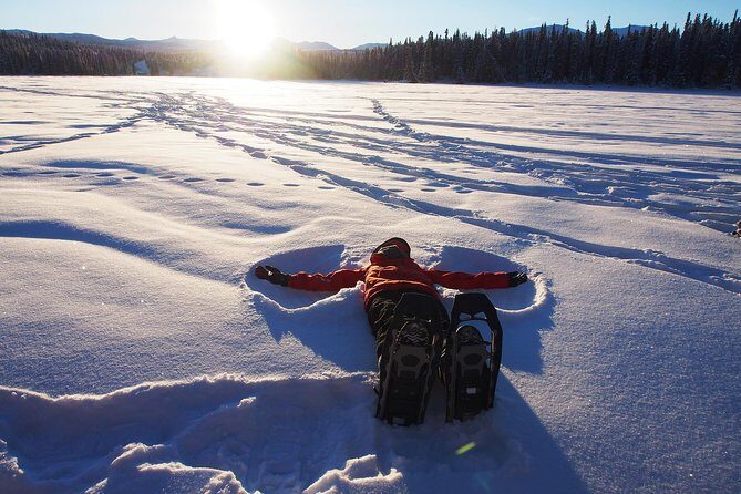 Yukon Snowshoeing Adventure | half day - Group size, pace, and who this is a good match for