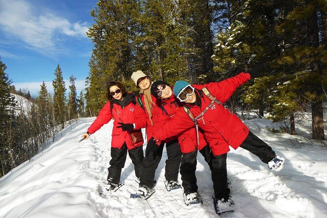 Yukon Snowshoeing Adventure | half day - Miles Canyon: what to expect on the guided route