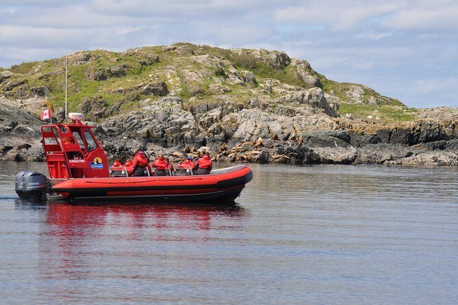Zodiac Boat Whale and Wildlife 4-Hour Tour from Campbell River - Key Things I’d Plan Around